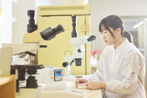 卒業するとどうなるの